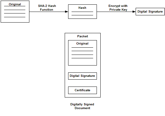 Digital Signature (DS) Process